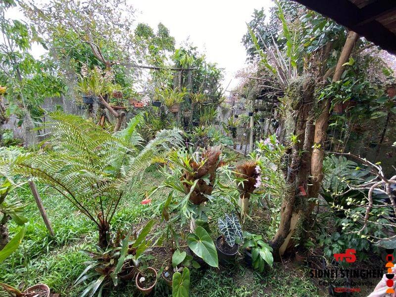 Casa à venda com 3 quartos, 120m² - Foto 23