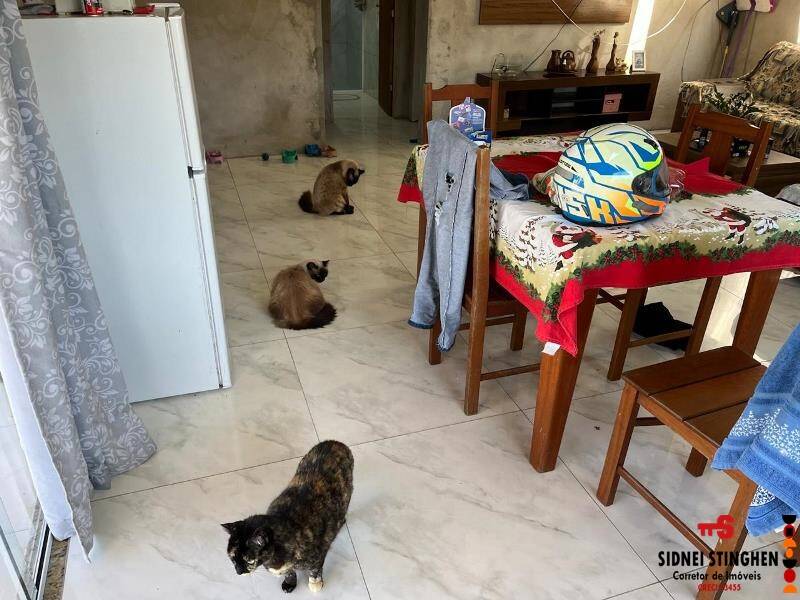 Casa à venda com 2 quartos, 95m² - Foto 6