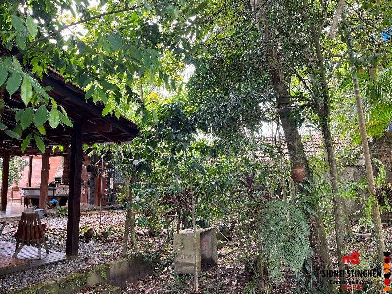 Casa, 3 quartos, 125 m² - Foto 33