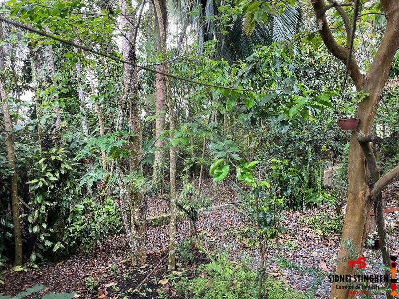 Casa, 3 quartos, 125 m² - Foto 36