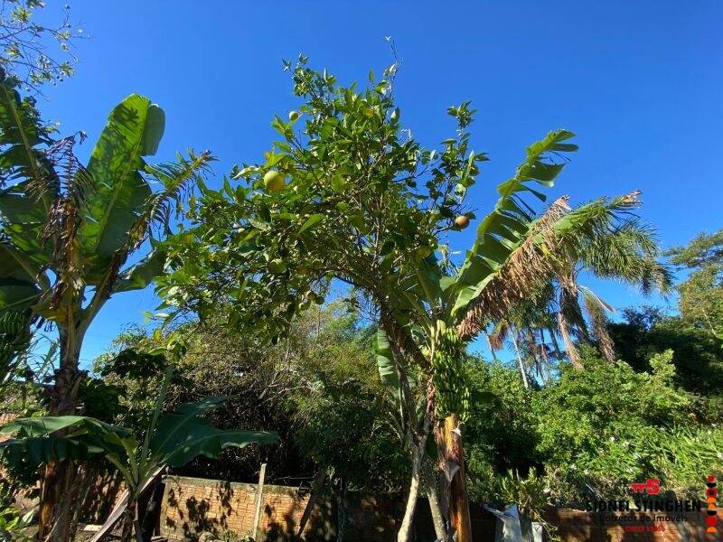 Casa, 8 quartos, 250 m² - Foto 35