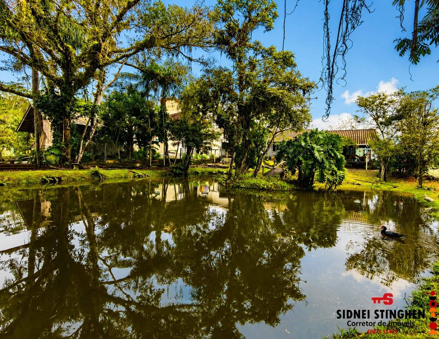 Sítio, 6 quartos, 9698 m² - Foto 19