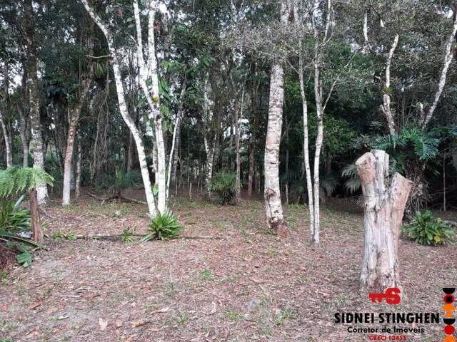 Chácara para Venda em Balneário Barra do Sul - 5