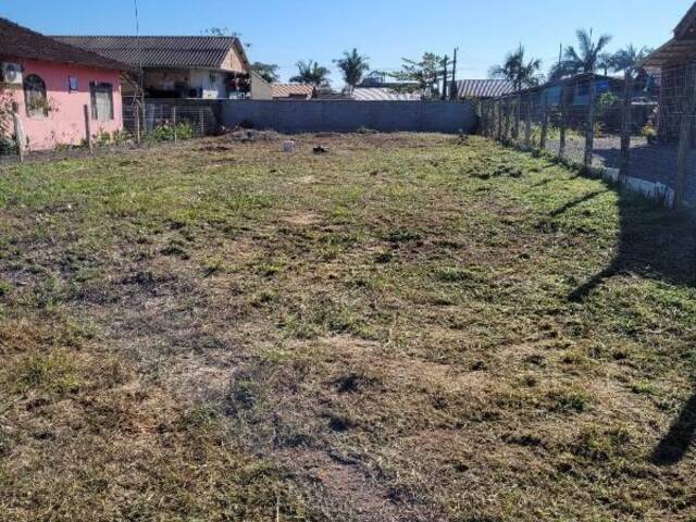 Terreno para Venda em Balneário Barra do Sul - 4