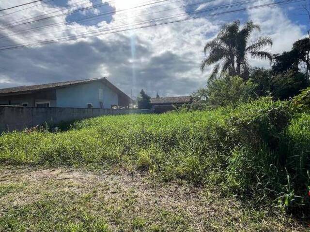 #818 - Terreno para Venda em Balneário Barra do Sul - SC - 2