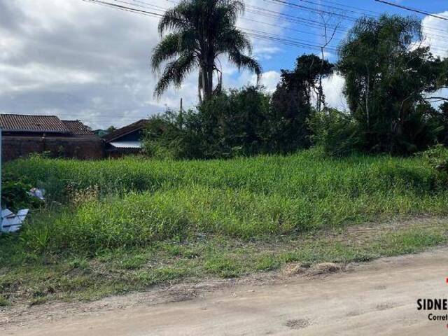#818 - Terreno para Venda em Balneário Barra do Sul - SC - 3