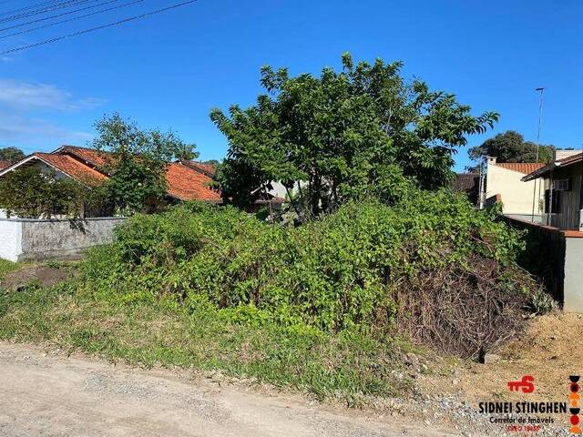 #825 - Terreno para Venda em Balneário Barra do Sul - SC - 2