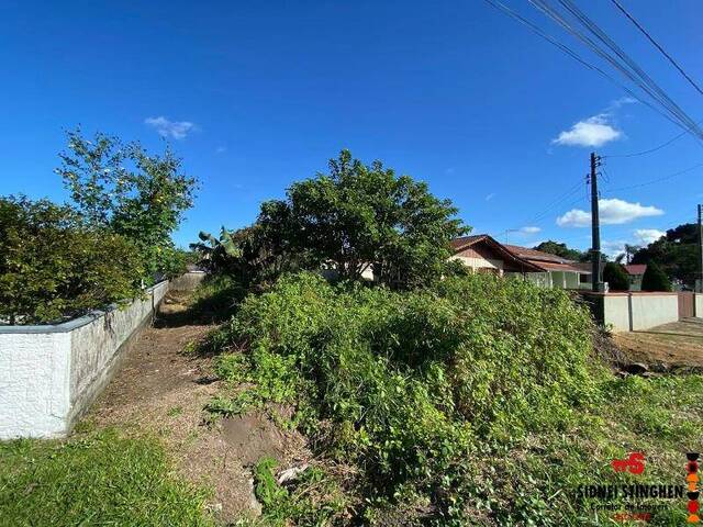 #825 - Terreno para Venda em Balneário Barra do Sul - SC - 3