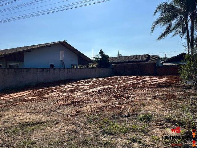 #818 - Terreno para Venda em Balneário Barra do Sul - SC - 2