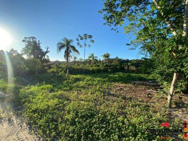 #898 - Terreno para Venda em Balneário Barra do Sul - SC - 3