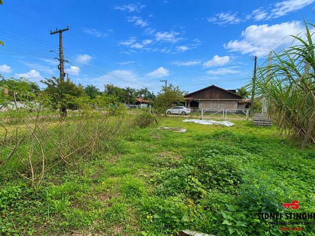 Terreno para Venda em Balneário Barra do Sul - 4