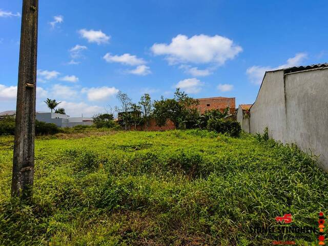 #933 - Terreno para Venda em Balneário Barra do Sul - SC - 2